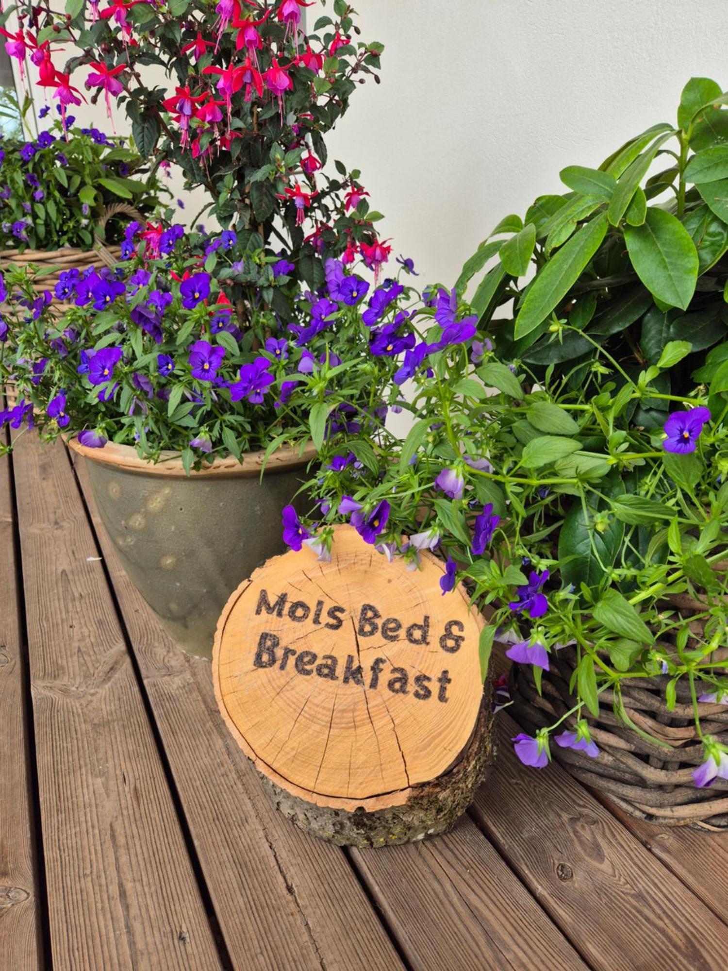 Mols Bed & Breakfast Knebel Luaran gambar